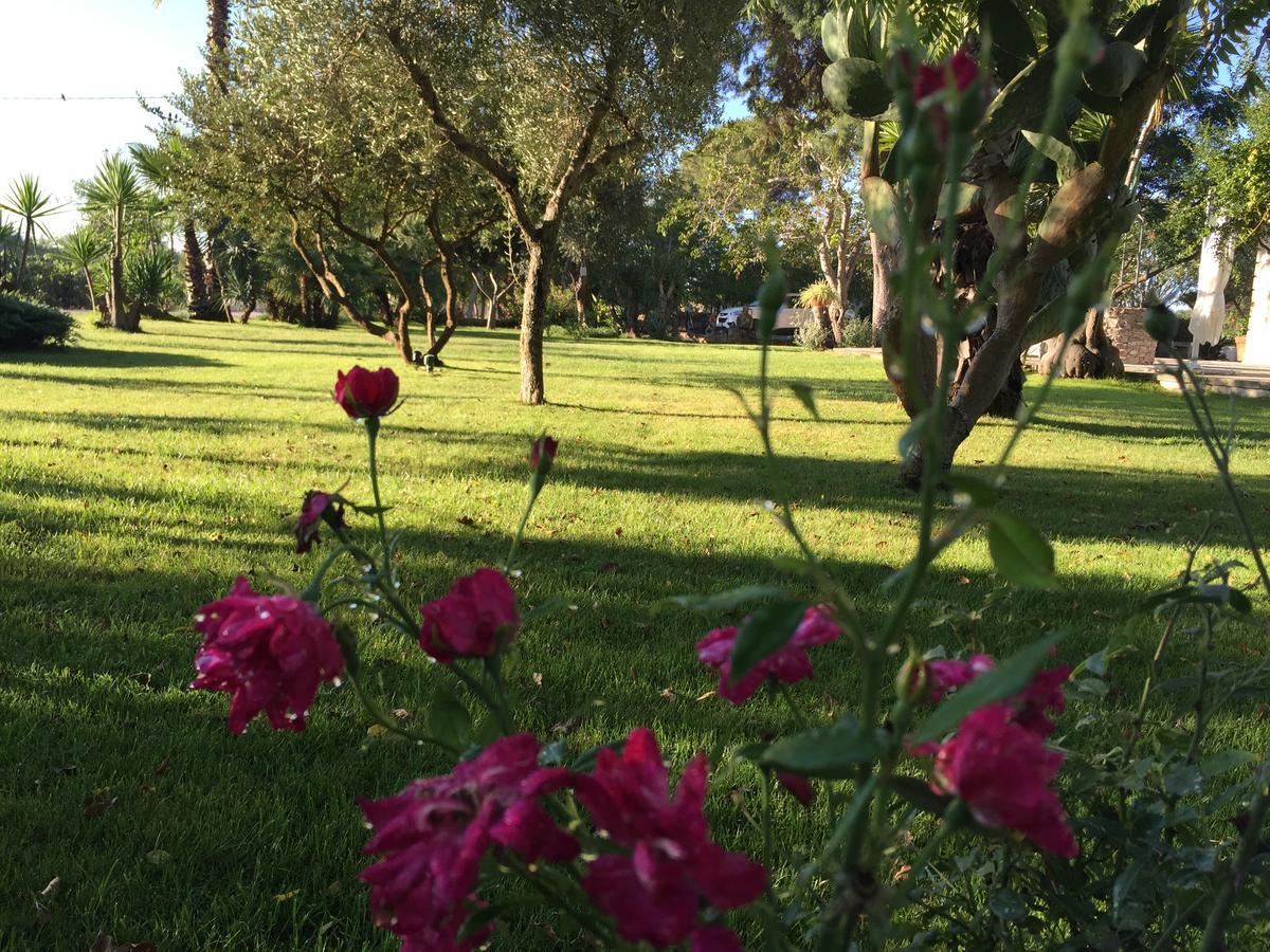 Dimora Del Duca, Masseria B&B Di Charme Monteroni di Lecce Dış mekan fotoğraf
